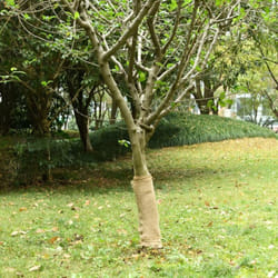 Rouleau de jute 0,5x5 m 100 % jute 200 g/m²