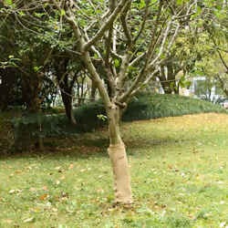 Ce rouleau de jute polyvalent est idéal pour divers événements ou occasions, comme les mariages, les fêtes ou la décoration i ...