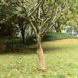 Ce rouleau de jute polyvalent est idéal pour divers événements ou occasions, comme les mariages, les fêtes ou la décoration i ...