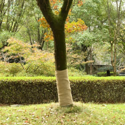 Vidaxl - Rouleau de jute 1x50 m 100 % jute 200 g/m²
