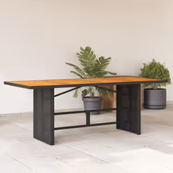 VidaXL 365600 table de jardin Noir