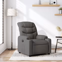 VidaXL 374148 fauteuil