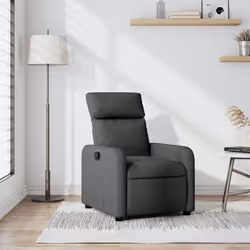 VidaXL 374166 fauteuil