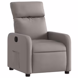 VidaXL 374172, Tissu, Taupe, mousse, 110 kg, 50 cm, 55,5 cm