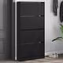 vidaXL Armoire à chaussures 4 tiroirs rabattables noir 80x21x163,5 cm
