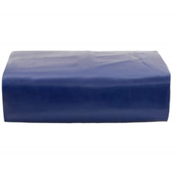 vidaXL Bâche bleu 1x2,5 m 650 g/m²