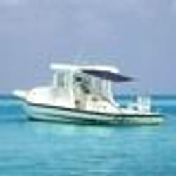 vidaXL Extension d'ombrage T-Top bleu 170x170x(115-183) cm