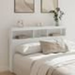 vidaXL Armoire tête de lit avec LED blanc 160x17x102 cm