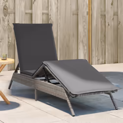 VidaXL 4002703 chaise d'extérieur Linge Siège rembourré Polyuréthane, Acier Gris