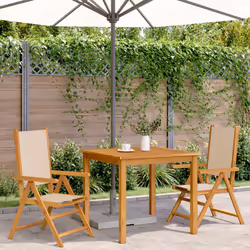 VidaXL 367660 chaise d'extérieur Terrace Bois d'acacia, Polyester Beige