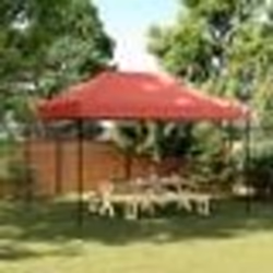 vidaXL Tente de réception pliable escamotable bordeaux 410x279x315 cm