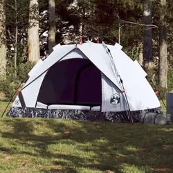vidaXL Tente de camping à dôme 2 personnes libération rapide