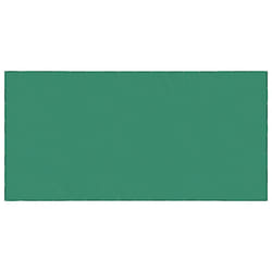Filet Pour Remorque Vert 4x8 M Pehd Vidaxl