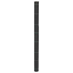 vidaXL Membrane anti-mauvaises herbes noir 1,5x200 m PP