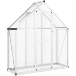 Serre avec cadre de base argent 169x58x195 cm aluminium