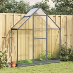 Serre avec cadre de base anthracite 169x58x202 cm aluminium - Vidaxl