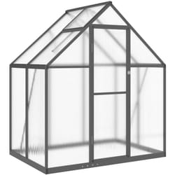 Serre avec cadre de base anthracite 169x114x195 cm aluminium