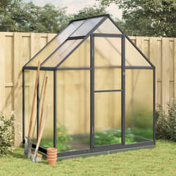 Vidaxl - Serre avec cadre de base anthracite 169x114x202 cm aluminium
