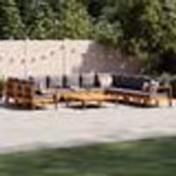vidaXL Salon de jardin avec coussins 9 pcs bois massif d'acacia