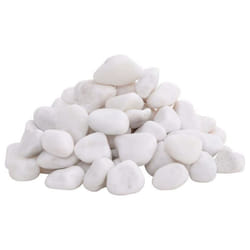 Vidaxl Galets Polis 25 Kg Blanc 2-5 Cm