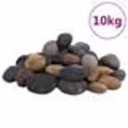 vidaXL Galets polis 10 kg multicolores 5-8 cm