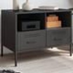 vidaXL Meuble TV noir 68x39x50,5 cm acier