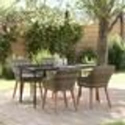 vidaXL Ensemble repas jardin 5 pièces Gris Poly Rattan
