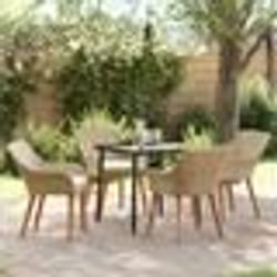 vidaXL Ensemble de salle à manger de jardin 5 pièces en poly rattan beige