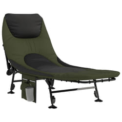 VidaXL 4006422 lit d’extérieur Noir, Vert