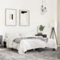 vidaXL Cadre de lit sans matelas noir 150x200 cm - 150 x 200 cm