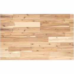 vidaXL Dessus de bureau non traité 100x50x2 cm bois d'acacia massif