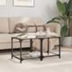 vidaXL Tables basses avec dessus en verre transparent 2 pcs acier
