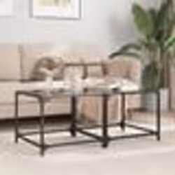 vidaXL Tables basses avec dessus en verre noir 2 pcs 50x50x40 cm acier