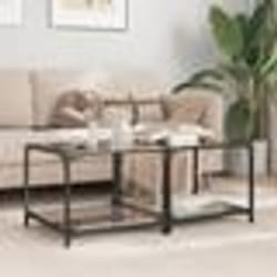 vidaXL Tables basses avec dessus en verre noir 2 pcs 50x50x40 cm acier