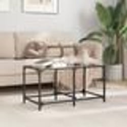 vidaXL Table basse avec dessus en verre noir 78,5x40x40 cm acier