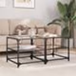 vidaXL Tables basses avec dessus en verre transparent 2 pcs acier
