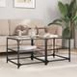 vidaXL Tables basses avec dessus en verre transparent 2 pcs acier