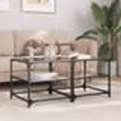 vidaXL Tables basses avec dessus en verre noir 2 pcs 50x50x45 cm acier