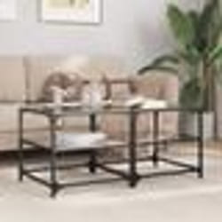 vidaXL Tables basses avec dessus en verre noir 2 pcs 50x50x45 cm acier