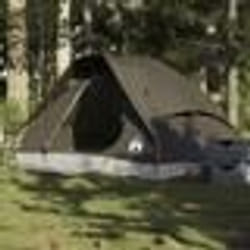 vidaXL Tente de camping à dôme 2 personne marron imperméable tente abri de camping abri de jardin tente de jardin abri 4009640