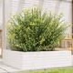vidaXL Jardinière blanc 80x80x23 cm bois de pin massif