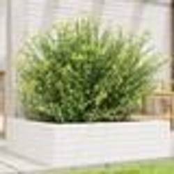 vidaXL Jardinière blanc 80x80x23 cm bois de pin massif
