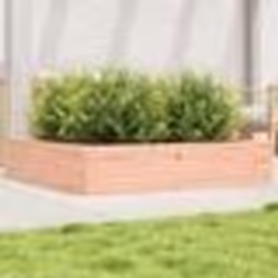 vidaXL Jardinière 110x110x23 cm bois massif douglas