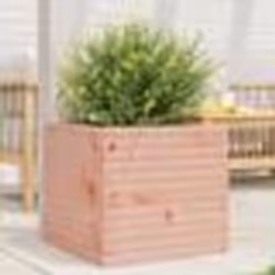 vidaXL Jardinière 50x50x45,5 cm bois massif de douglas