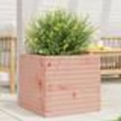 vidaXL Jardinière 50x50x45,5 cm bois massif de douglas