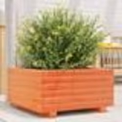 vidaXL Jardinière cire marron 50x50x26,5 cm bois de pin massif