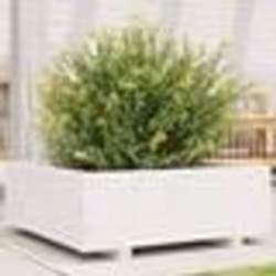 vidaXL Jardinière blanc 70x70x26,5 cm bois de pin massif