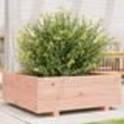 vidaXL Jardinière 70x70x26,5 cm bois massif douglas