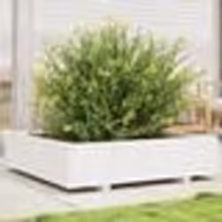 vidaXL Jardinière blanc 100x100x26,5 cm bois de pin massif