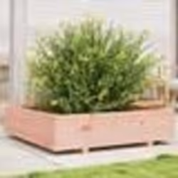 vidaXL Jardinière 100x100x26,5 cm bois massif de douglas